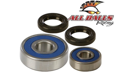 Raptor 700 bearing kit