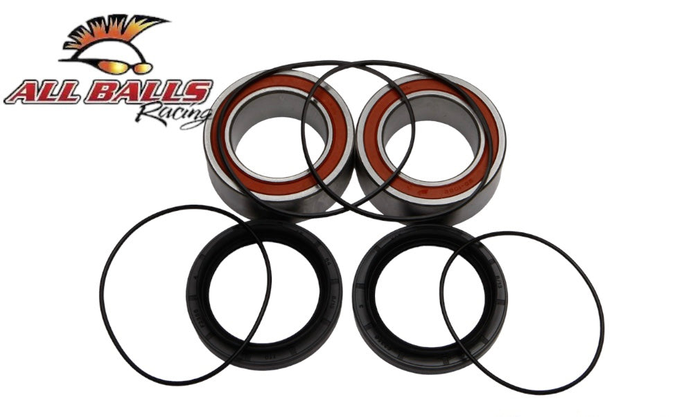 Raptor 700 bearing kit